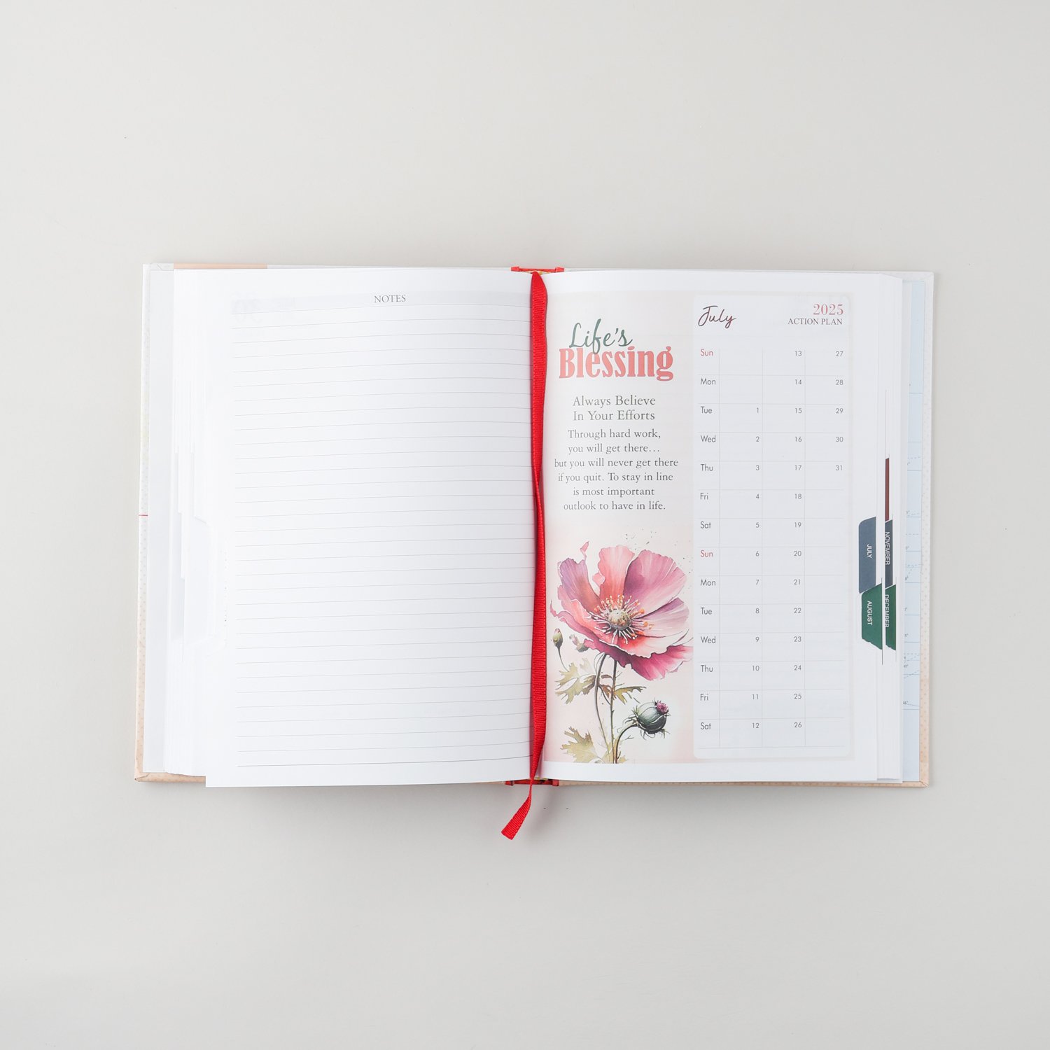 Theme Diary V-973